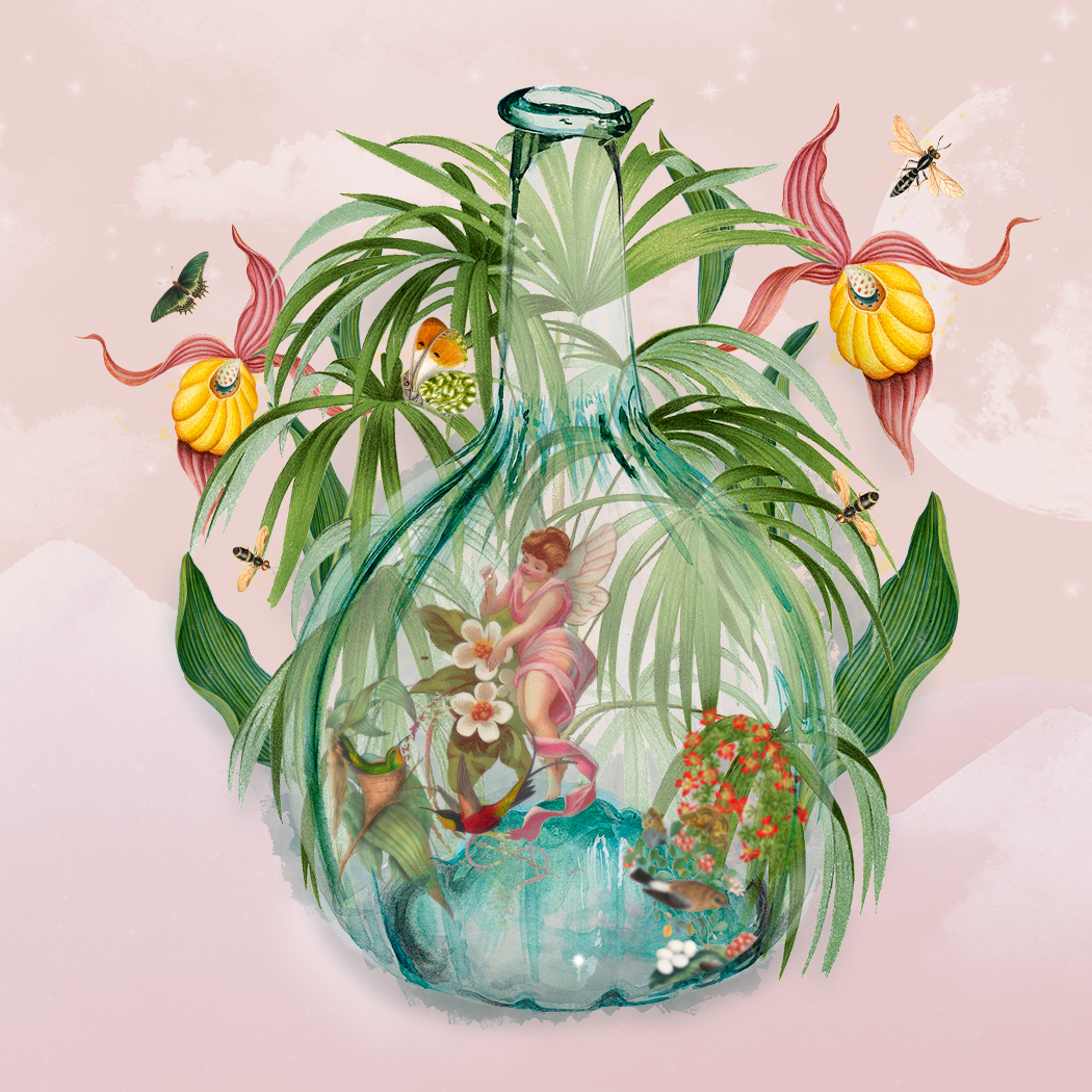 Digital Collages
